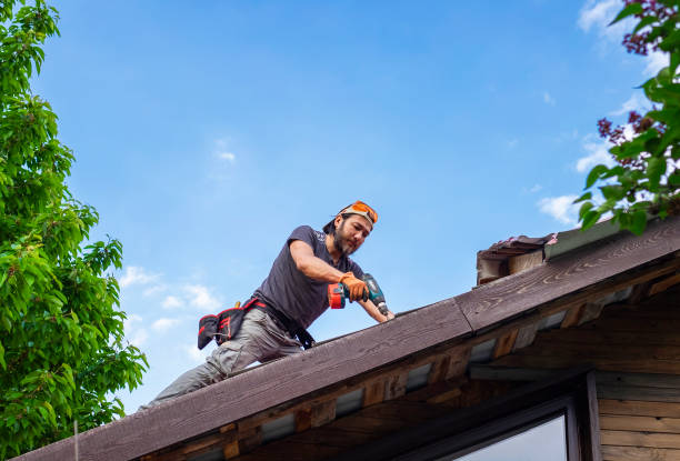 Skylights in Chaska, MN
